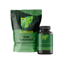 photo of turkesterone sachet in the form of Ajuga Turkestanica powder or capsules cheap it is a dietary supplement for bodybuilding